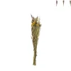 Droogbloem boeketje - diverse varianten - 50 cm