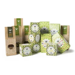 Fine flavours groene thee - pittige gember & passievrucht - 15 piramide zakjes