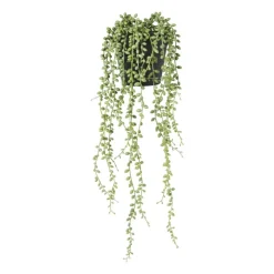 Kunstplant erwtenplantje in pot - groen/zwart - 53 cm