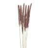 Pluim smal - 6 stuks - 70 cm
