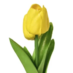 Tulpen in vaasje - diverse varianten - ø7x18 cm