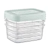 Vershoudbakjes - 500 ml - set van 3