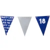 Vlaggenlijn 18 jaar - blauw - 10 meter